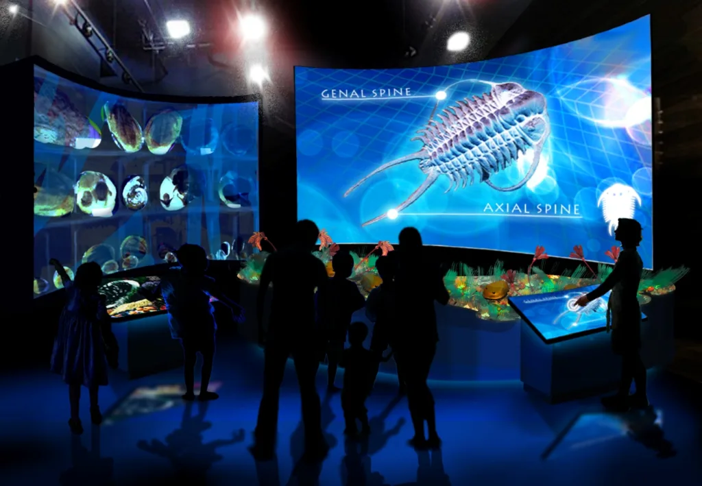 Visitors silhouetted before large digital displays of a trilobite and fossils in a museum exhibit