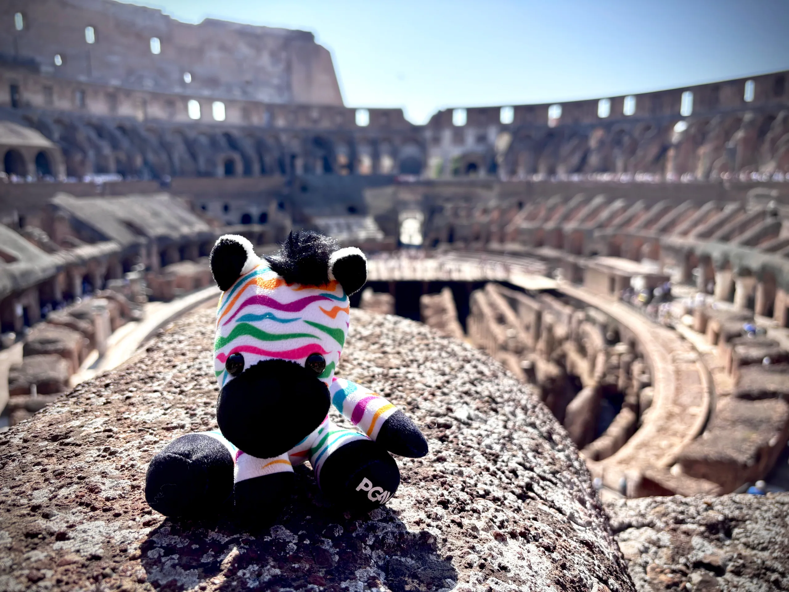 Spot the PGAV zebra plush perched on a stone ledge inside the Colosseum in Rome