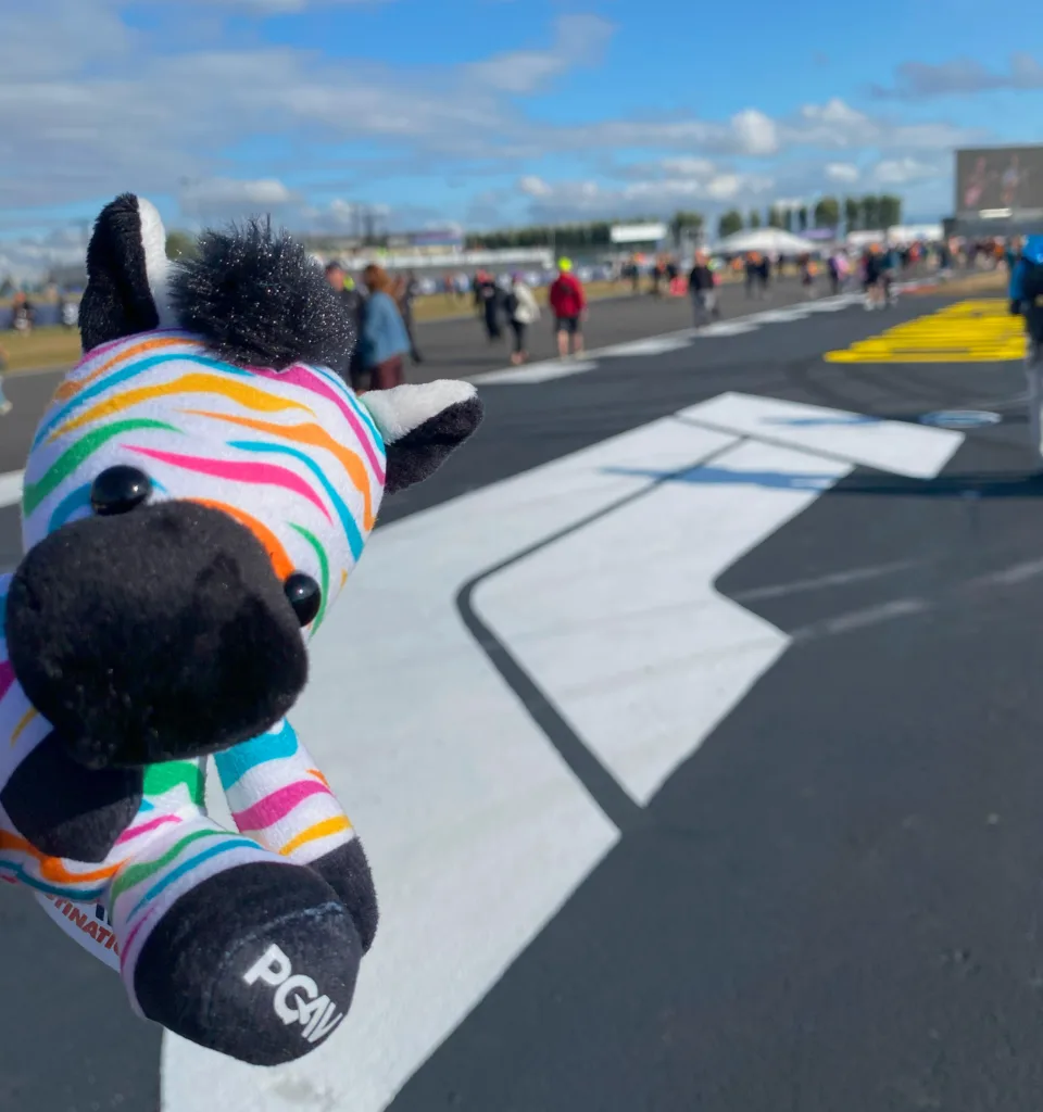 Spot the PGAV zebra plush at a racetrack at the British Grand Prix in Silverstone, England