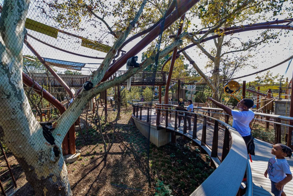 Families on the elevated boardwalk among preserved mature trees at the Saint Louis Zoo's Primate Canopy Trails