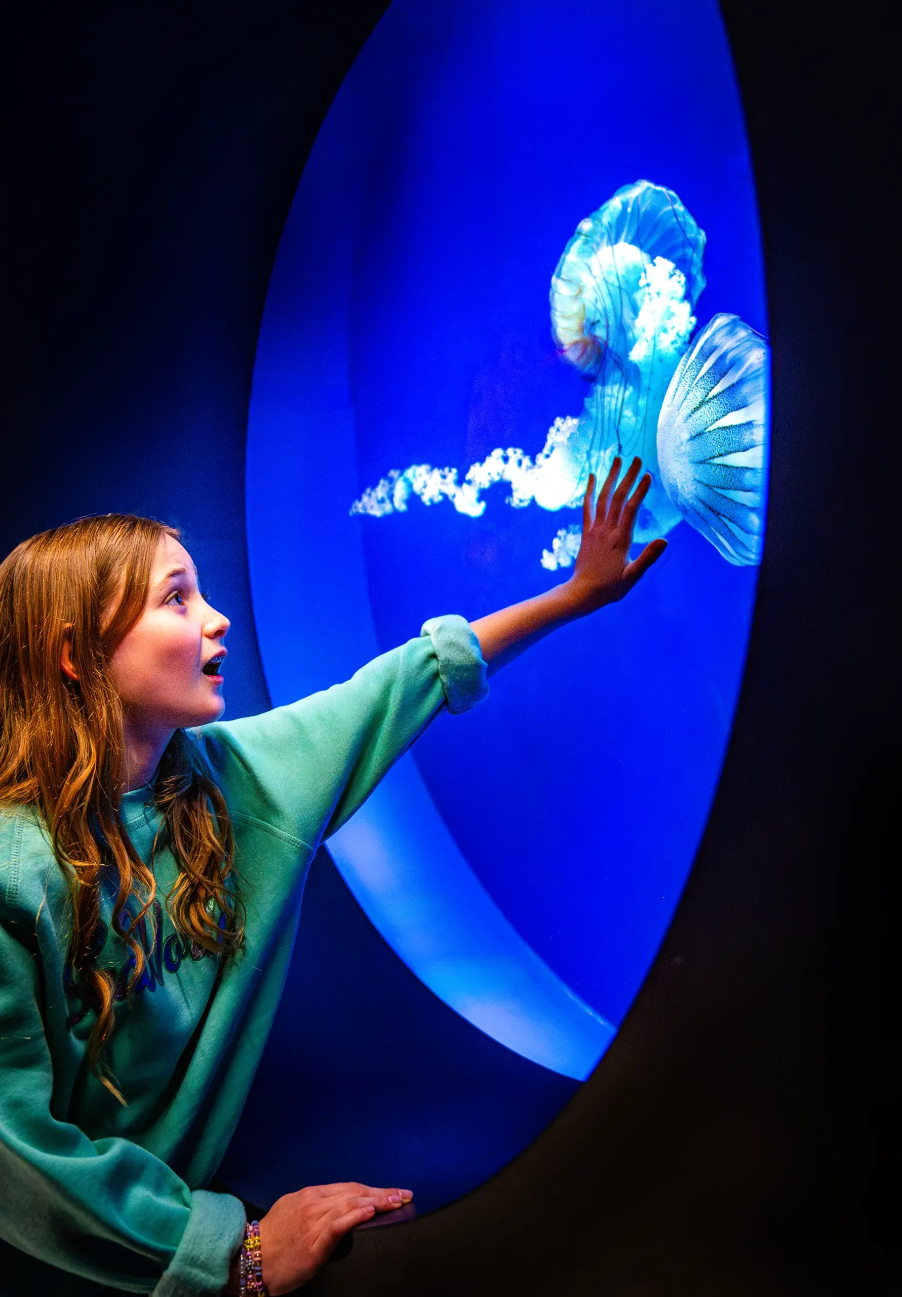 Girl reaching for jellyfish at Jellyfish Experience