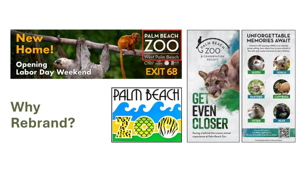 Palm Beach Zoo rebrand slide asking Why Rebrand?, with old logo, billboard and posters