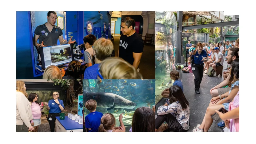 Collage of aquarium educators engaging children and families at touch tanks, screens and large viewing windows