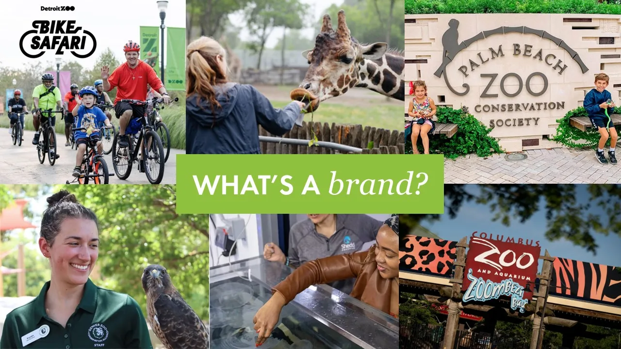 What's a brand? collage of zoo guest experiences at Detroit Zoo, Palm Beach Zoo and Columbus Zoo