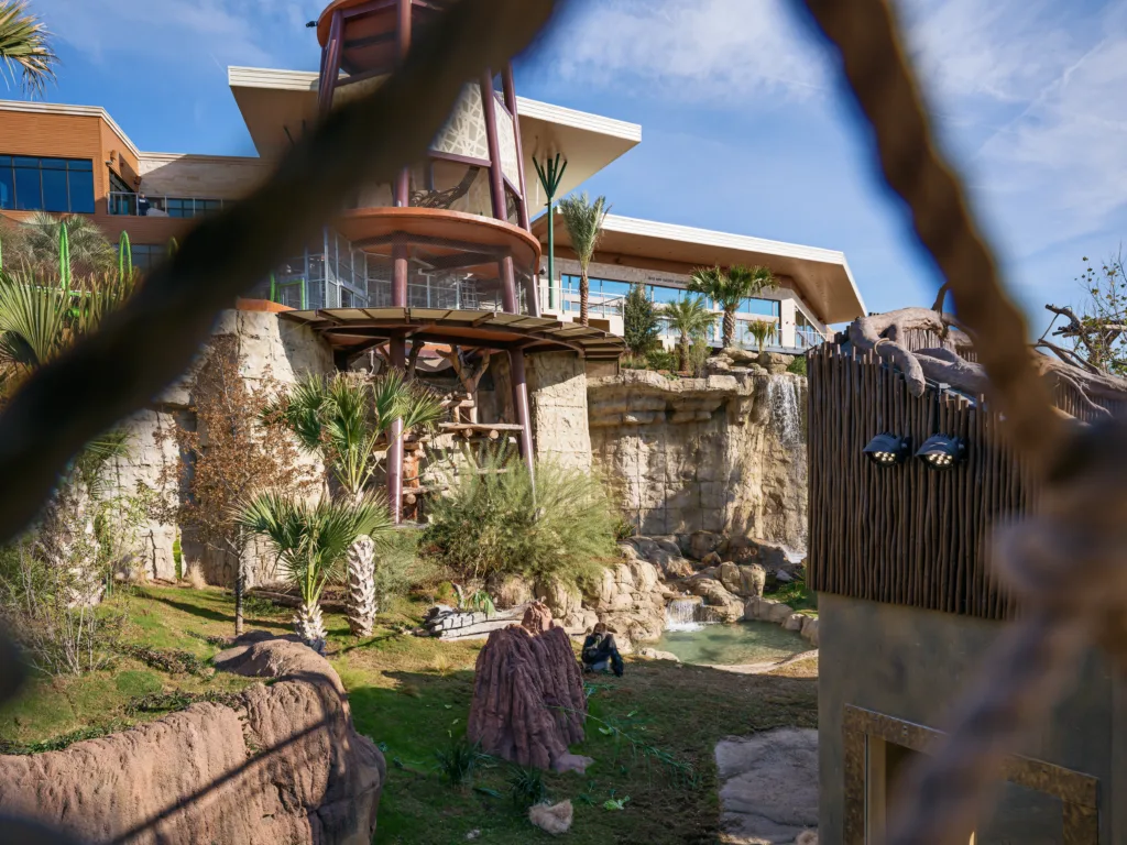 Congo Falls gorilla habitat at San Antonio Zoo, with rockwork, waterfalls and the event center above