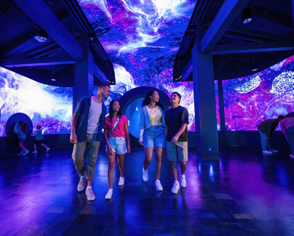 Guests walking through an immersive gallery with glowing purple and blue projections at Jewels of the Sea, SeaWorld San Diego