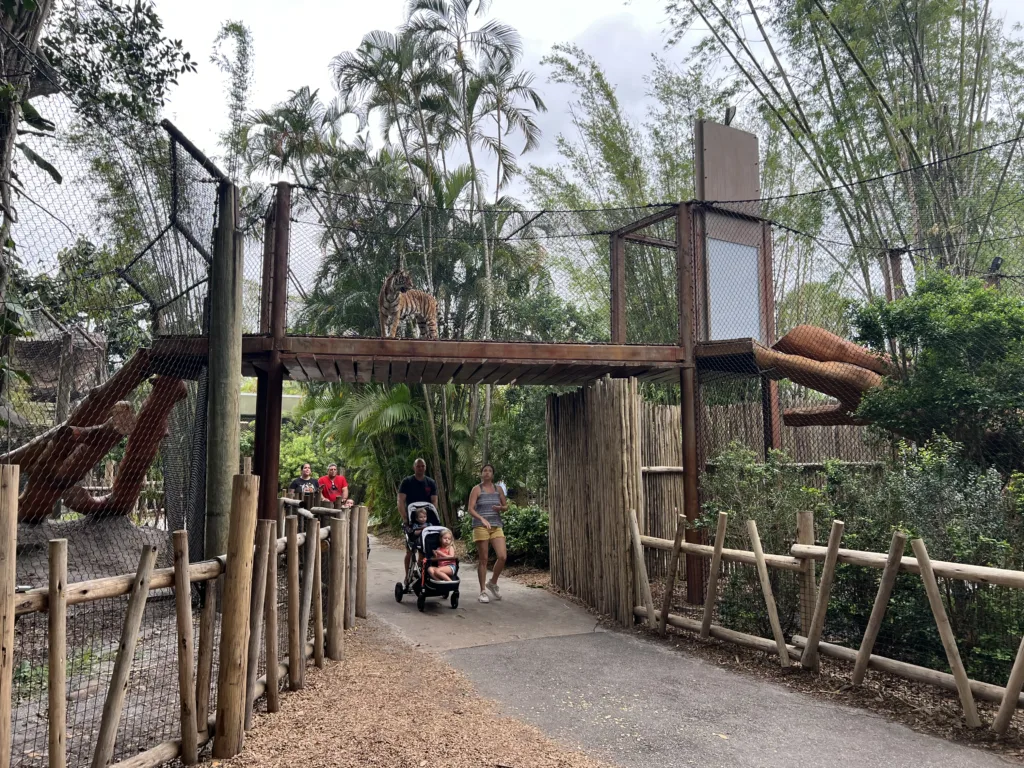 Guests on a shaded path beneath an elevated tiger trail crossing overhead at Palm Beach Zoo's Tiger Forest