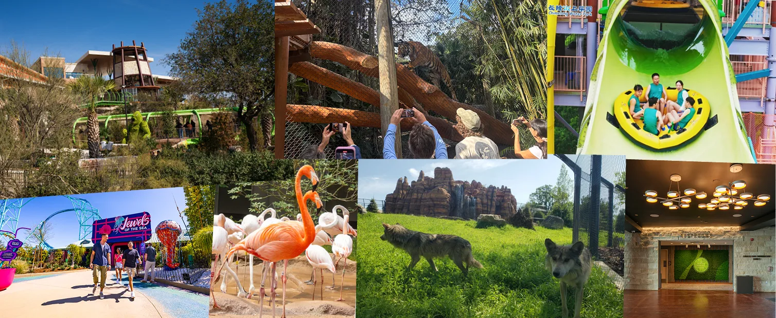 Collage of 2025 PGAV projects, including Jewels of the Sea, Flamingo Cove, Tiger Forest and Congo Falls