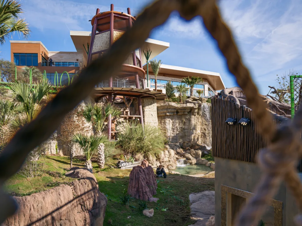 Finished Congo Falls gorilla habitat at San Antonio Zoo framed by climbing ropes, with rockwork and a tower