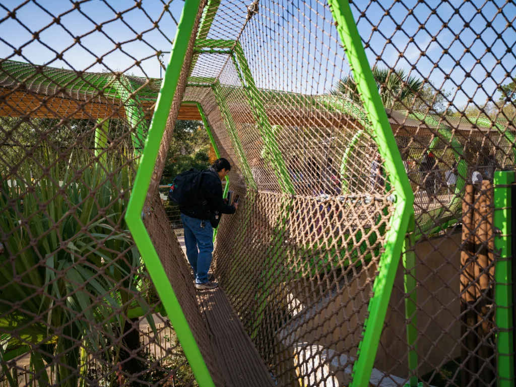 Guest on a boardwalk beside a green mesh gorilla trail tunnel at Congo Falls