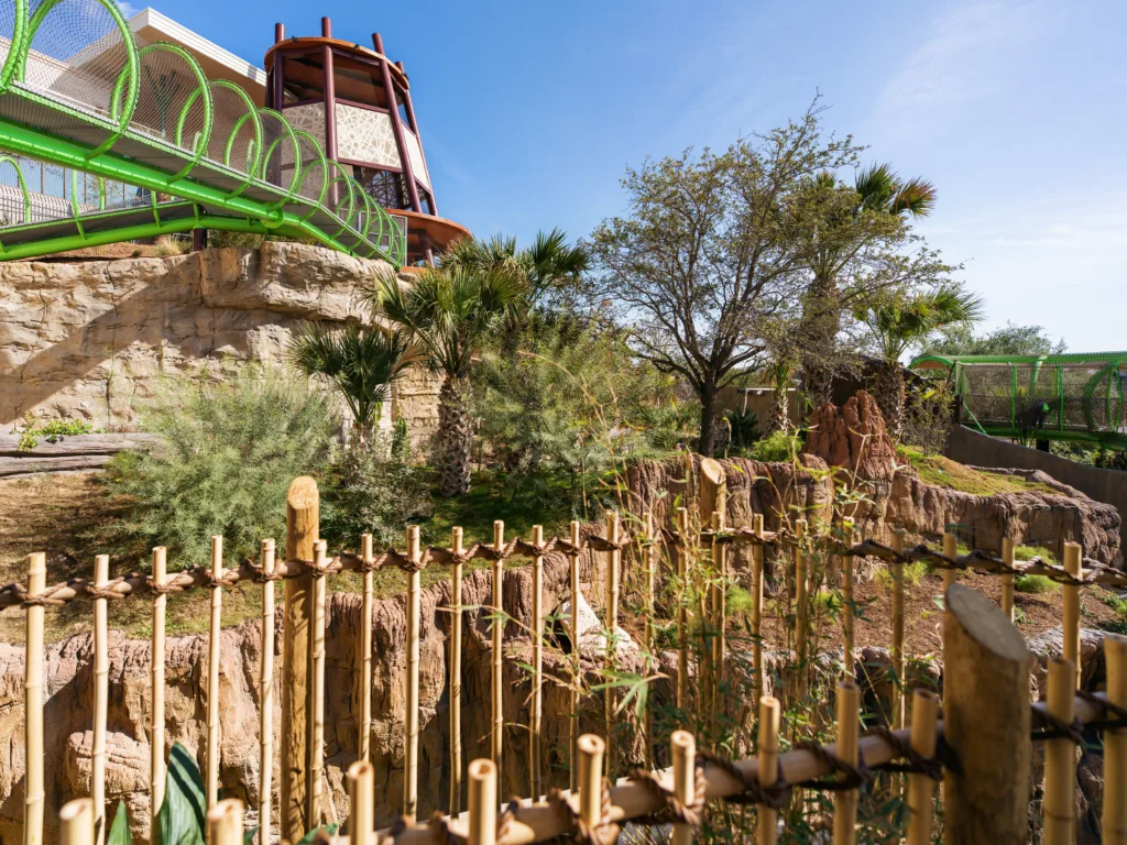 Congo Falls habitat at San Antonio Zoo with bamboo fencing, lush plantings and green overhead gorilla trails