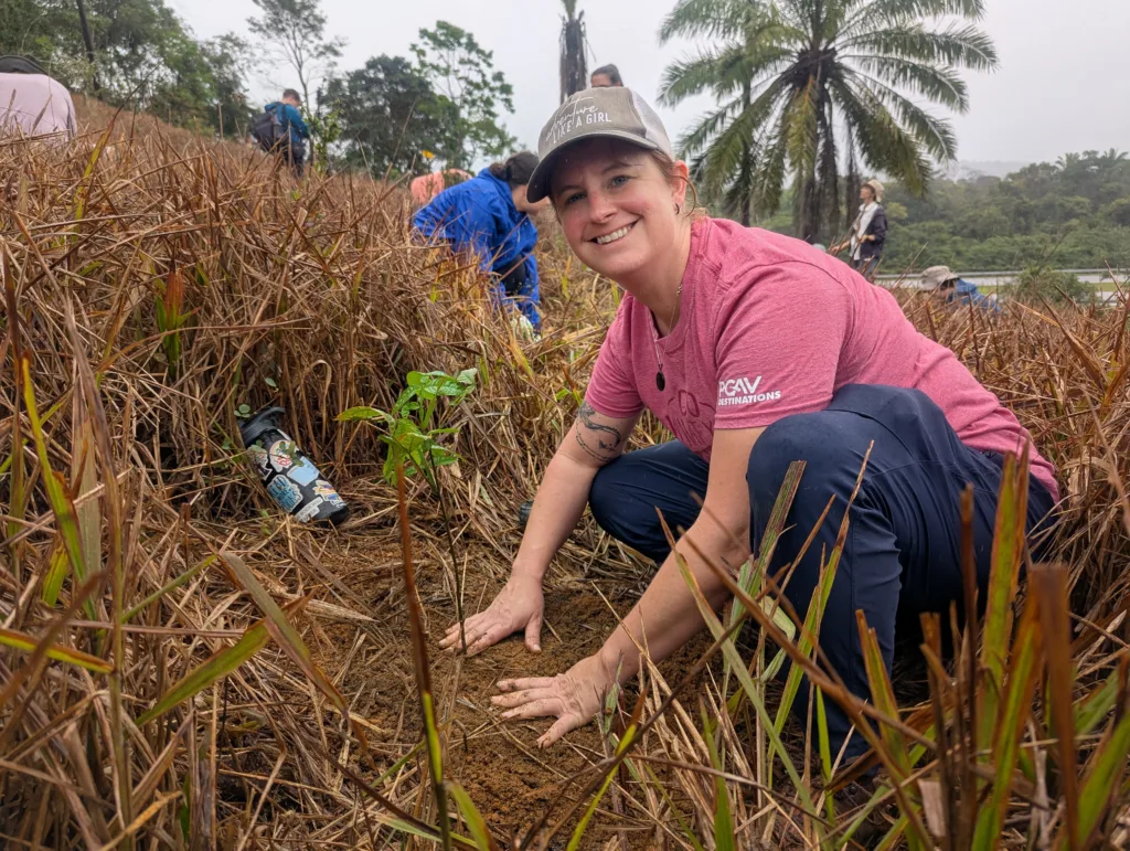 Rosey Masek planting a young tree in the Atlantic Forest to restore golden lion tamarin habitat